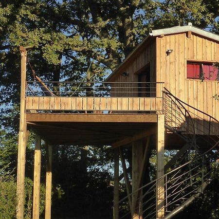 La Cabane Perchee Du Faucon Frechou-Frechet Exterior photo