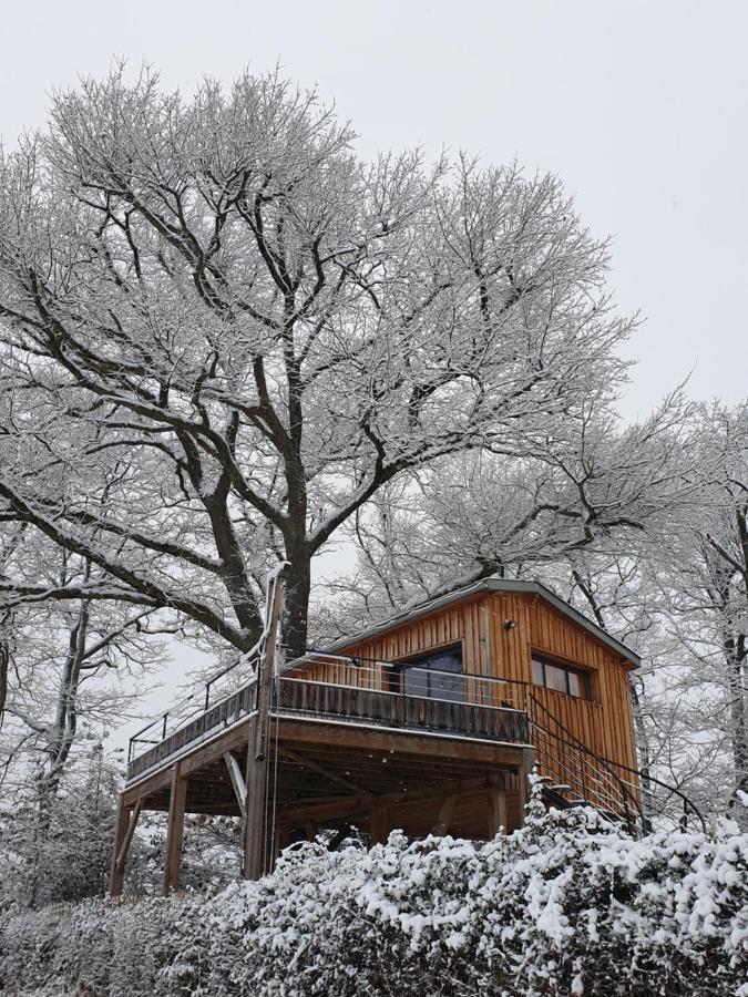 La Cabane Perchee Du Faucon Frechou-Frechet Exterior photo